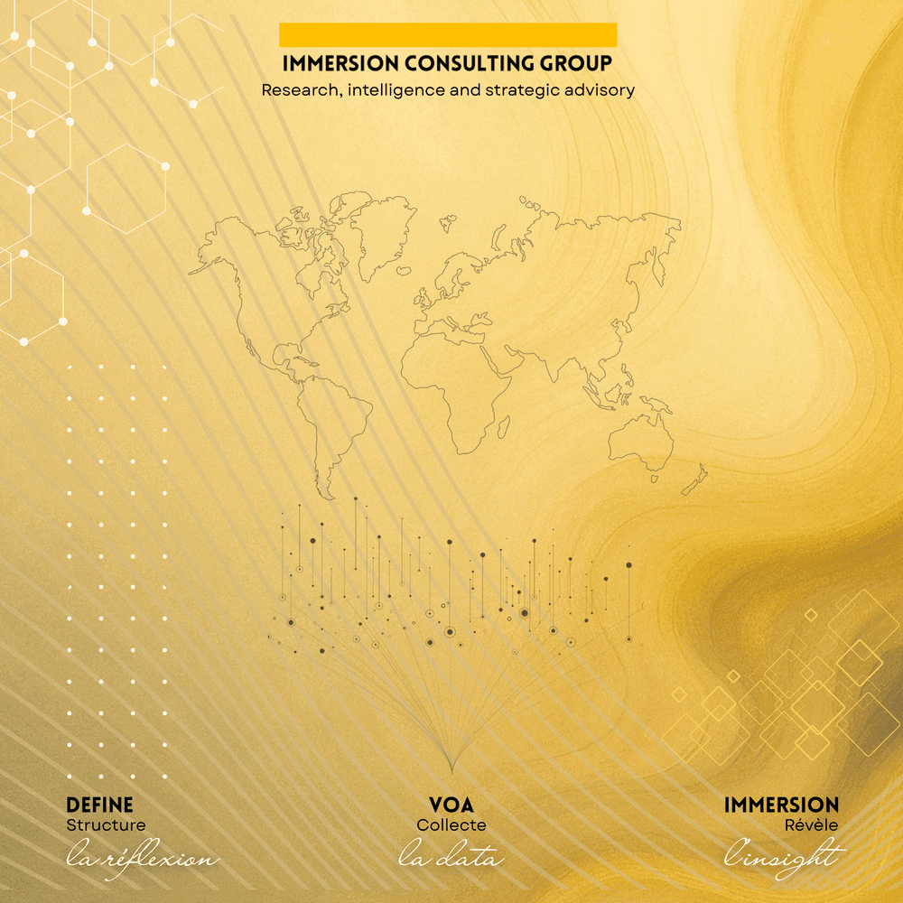Immersion Consulting Group